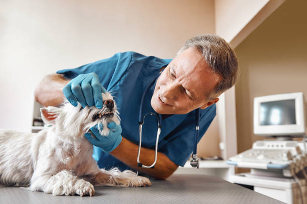 Best Emergency Tooth Extraction in Desert Palms, CA